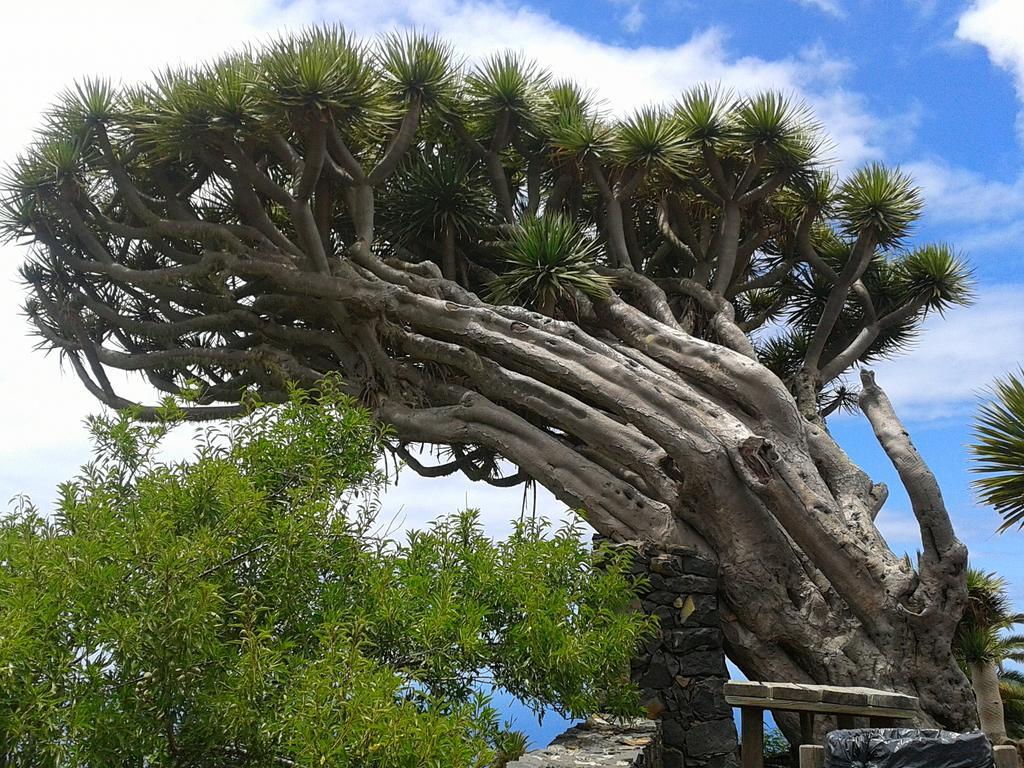 La Palmerita Vacacional Los Llanos de Aridane Kültér fotó