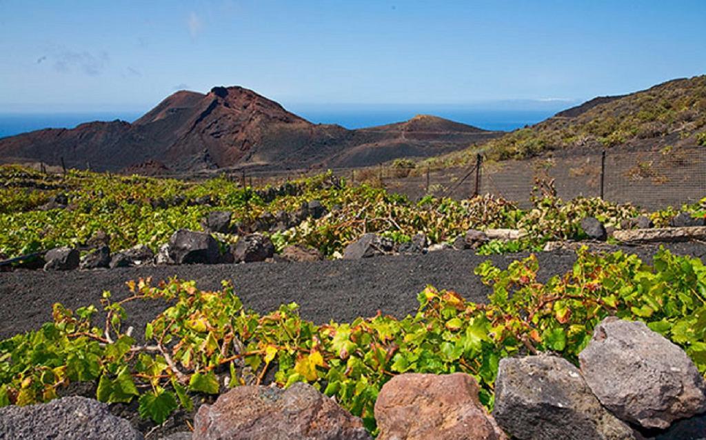 La Palmerita Vacacional Los Llanos de Aridane Kültér fotó